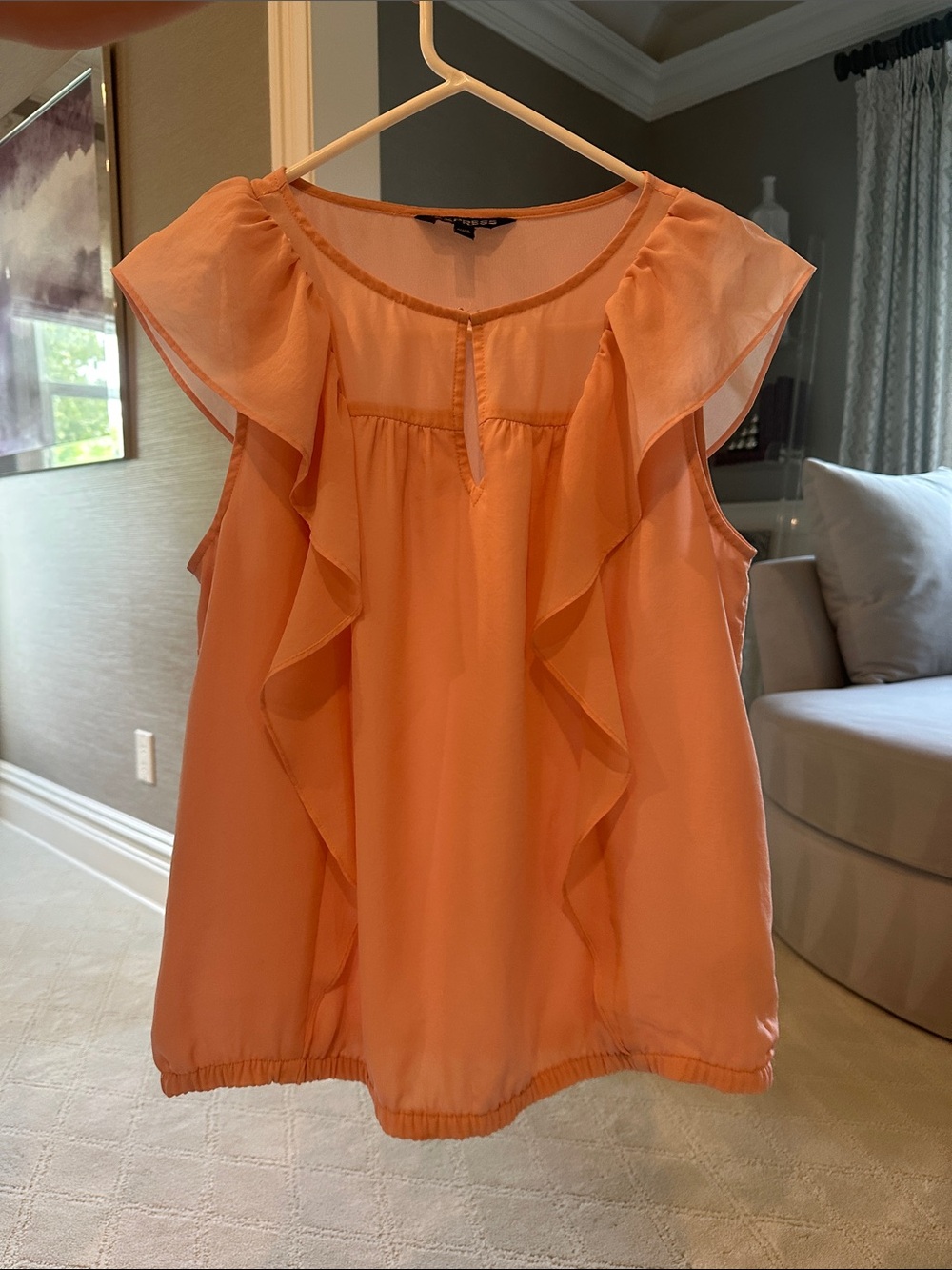 Express Coral Ruffle-Trim Sleeveless Chiffon Camisole